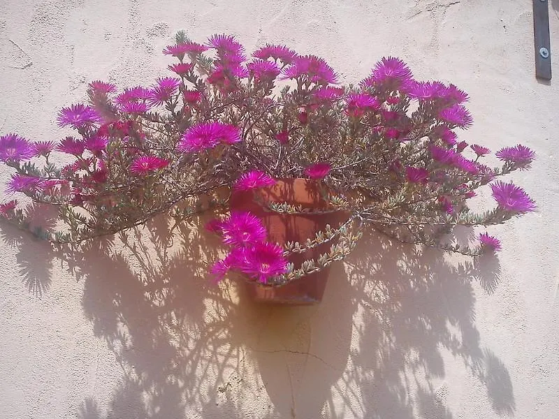 Boutique Hostal Lorca Nerja Casa de hóspedes